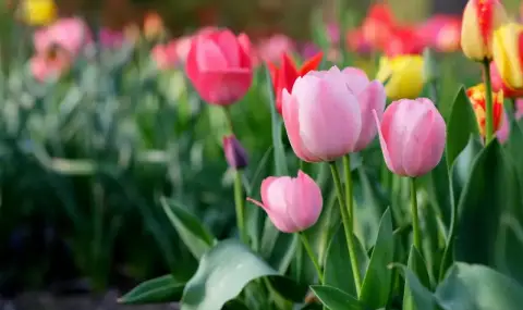 Weather today, forecast for Saturday, April 25: Mostly sunny and less windy  - 1