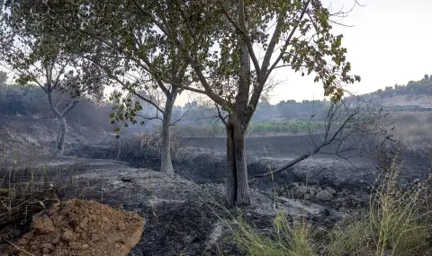 Черна гора в пламъци: Пожарникари удържат пламъците с риск за живота си - 1