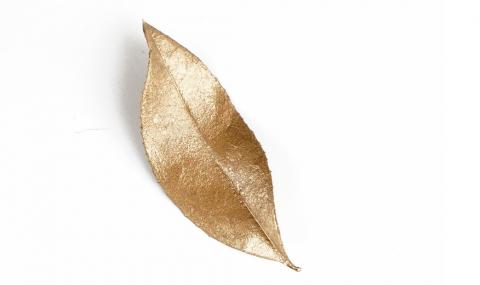Продава се златно листо от короната на Наполеон (ВИДЕО) - 1