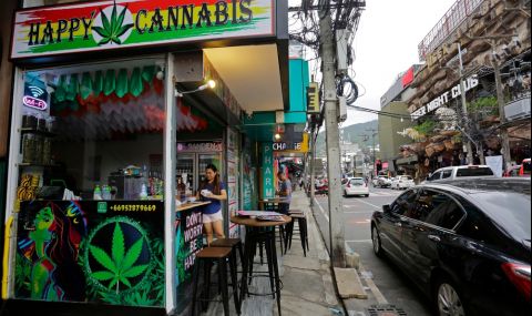 Легализират марихуаната в Швейцария заради проучване  - 1