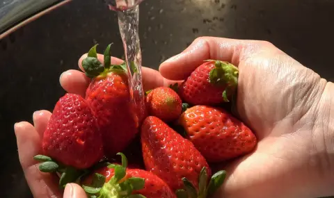 Как да мием ягодите, за да останат пресни по-дълго - 1