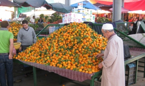 В Китай унищожиха 20 тона испански портокали - 1