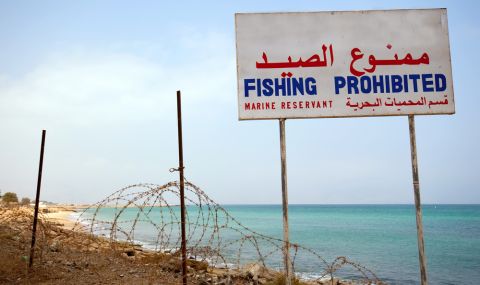 Абу Даби въвежда нови правила за любителски риболов - 1