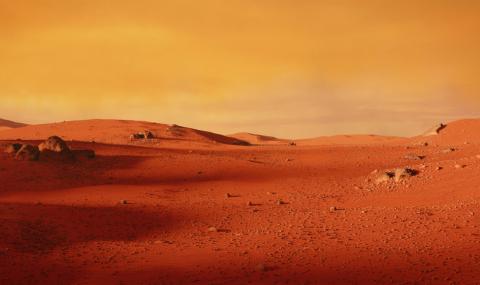 СНИМКА от повърхността на Марс дава доказателства за живот - 1