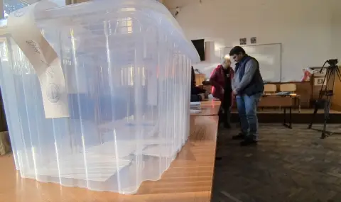 Референдумът не винаги е инструмент за повече демократичност - 1