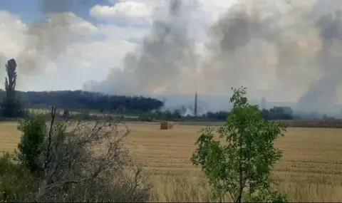 Пожар над Асеновград, затвориха Околовръстното