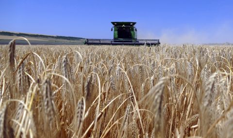 Украйна трябва да е готова да изнася зърно почти изцяло през дунавските си пристанища - 1