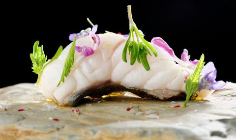 Увеличаваме улова на калкан - 1