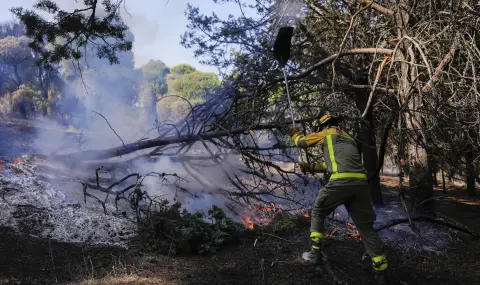 In Spain: My childhood burned here - 1