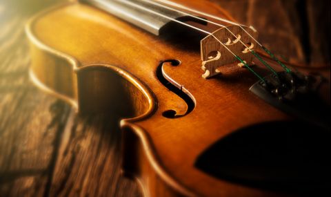 Цигулка за 100 хил. евро беше намерена в кофа за боклук - 1