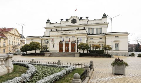 Пред НС: Протести "за" и "против" оръжие за Украйна - 1