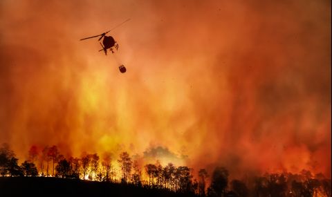 Пожарникарите в Тенерифе напредват в борбата срещу горските пожари  - 1