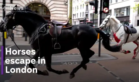 Cavalry horses run away again in central London  - 1