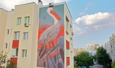 ЕРМ Запад организира изрисуване на блок в град Белене - 1