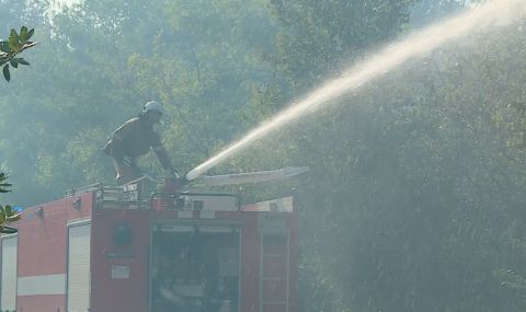 Гасят горски пожар край  първомайското село Буково - 1