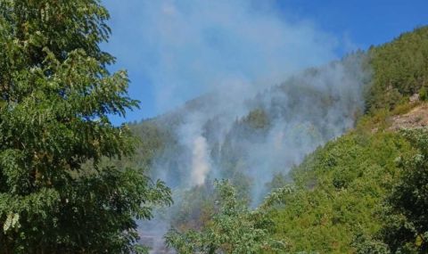 Пожар бушува в община Мадан - 1