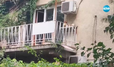 Десетки кучета, затворени в къща в София, тормозят цял квартал - 1