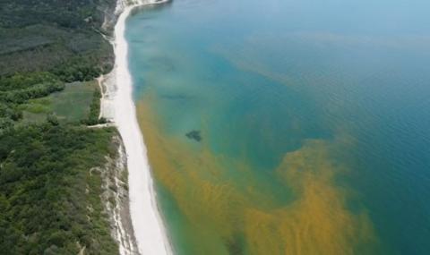 Замърсяване на „Паша дере“: Водата на един от най-красивите плажове пожълтя - 1