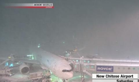 Снеговалеж блокира главно летище в Япония - 1