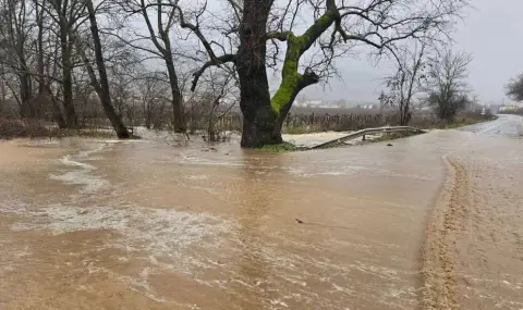 Поройни дъждове причиниха наводнения в Петричко ВИДЕО