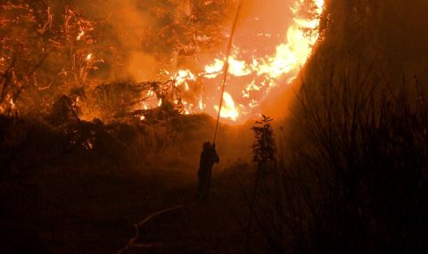 Дронове ще участват в превенцията на горски пожари в Гърция - 1