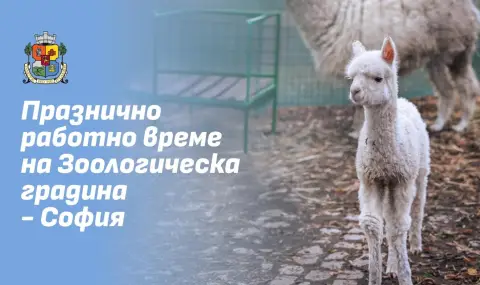 Зоологическа градина - София временно няма да посреща посетители - 1
