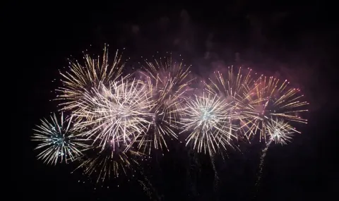 Parliament decided: New rules for weapons and fireworks - 1