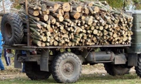 Поредният феодал: Хванаха кмет да превозва незаконни дърва - 1