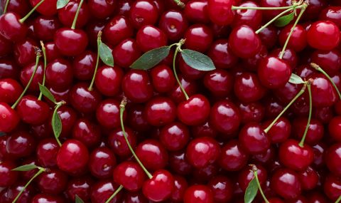 4 здравословни причини да ядете повече вишни   - 1