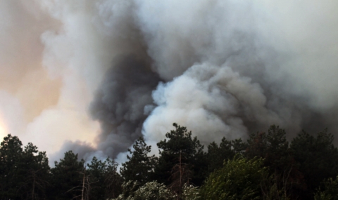 50 души евакуирани заради пожара край Тополовград - 1