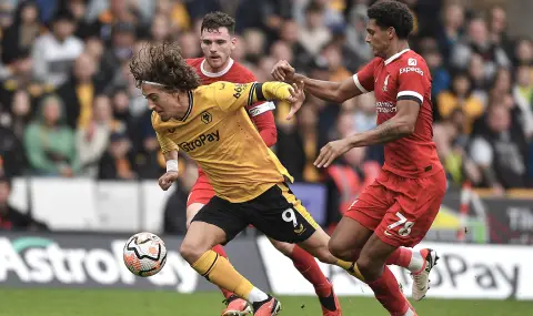 Borussia Dortmund strengthens with Premier League striker  - 1