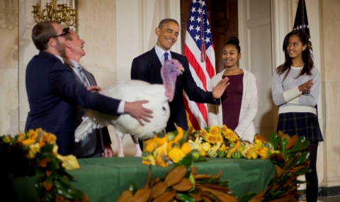 По традиция Обама помилва две пуйки за Деня на благодарността - 1