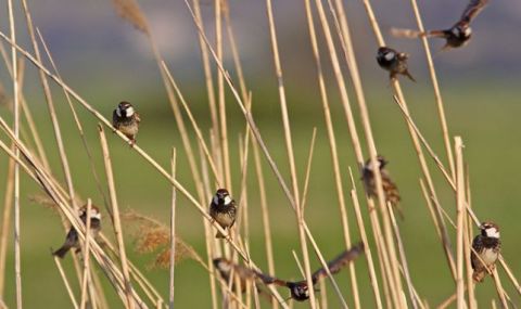 Слънчев четвъртък - 1