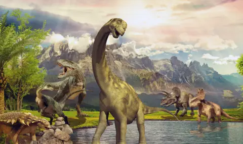 До каква възраст са живели динозаврите? - 1