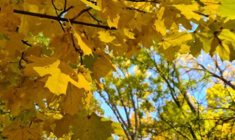 Времето днес, прогноза за сряда, 4 октомври: Слънчево и почти тихо - 1