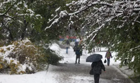 В сръбски общини бе обявено извънредно положение заради снега - 1