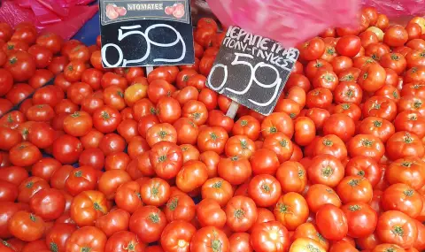 Пазарна ситуация: В Атина доматите са 1.20 лева, в София няма под 4 лева за кило