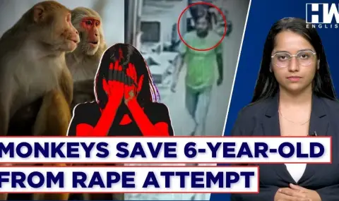 Monkeys attacked a rapist and saved a 6-year-old girl VIDEO  - 1