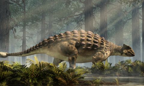Откриха непознат вид брониран динозавър в Европа (ВИДЕО) - 1