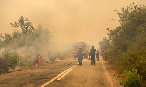 Българка за пожарите в Гърция: Истински апокалипсис. Хората не помнят такова бедствие  - 1