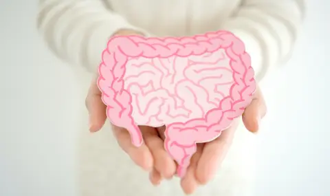 Гастроентеролог посочи 6 начина, по които чревното здраве се отразява на психиката - 1