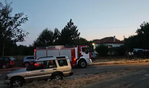 Локализираха големия горски пожар край Кърджали - 1