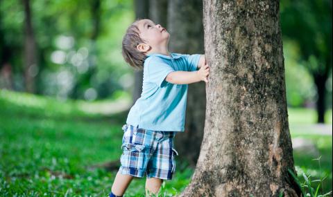 Притча за богатството на природата - 1