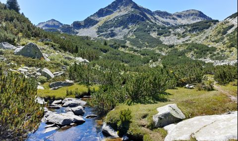 Експерти: Българските национални паркове са по-атрактивни от швейцарските - 1