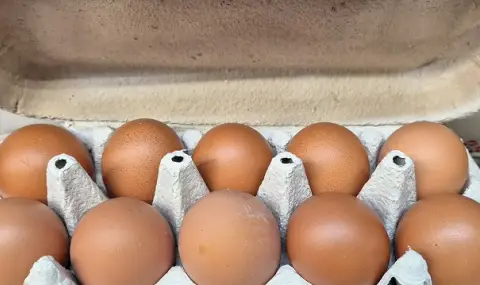 Иззеха 400 кг контрабандно пилешко месо и 8640 яйца в Любимец - 1