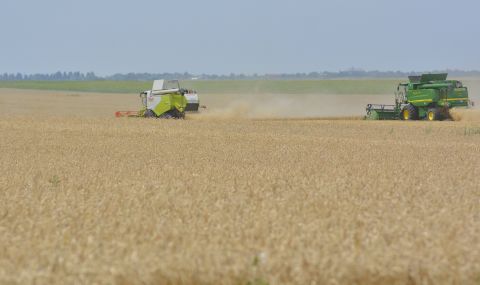 Анализ на БАН: Цените на храните ще се увеличат с повече от 50% до новата реколта - 1