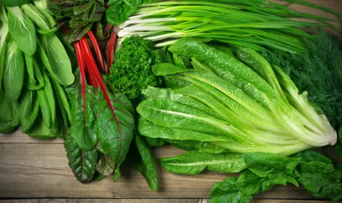Учени: Зелените зеленчуци стабилизират нивата на кръвната захар - 1