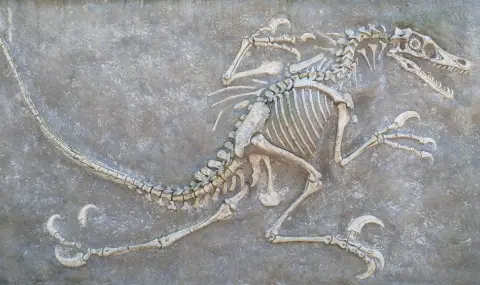 Новооткрити останки от динозаври в Уелс изненадаха учените  - 1