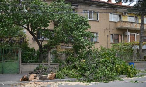 Хиляди в Софийско останаха без ток заради бурята - 1
