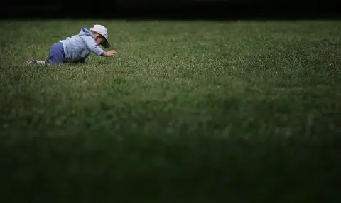 Проф. Попов: Кърлежите се събудиха и са гладни - 1